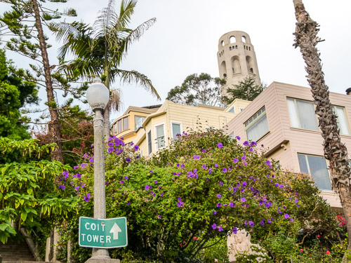 Coit Tower, Come for the Art, Stay for the View